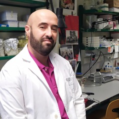 Investigador científico en enfermedades neurodegenerativas y Profesor de la Facultad de Medicina, Universidad Complutense de Madrid